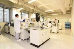 雀巢泰州新工厂竣工，引领丝塔芙产品新鲜升级，赋能中国日用百货消费新体验